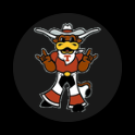 Texas mascot complication
