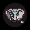 Mascot